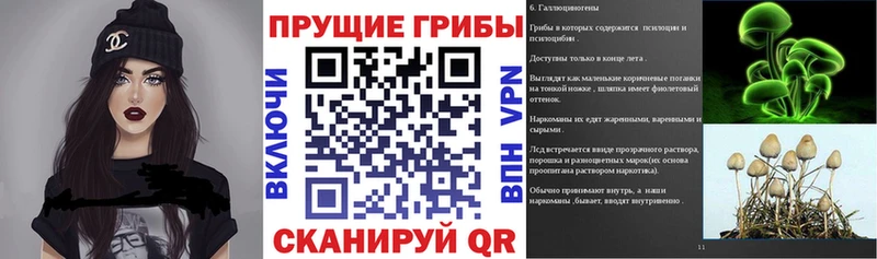 Галлюциногенные грибы GOLDEN TEACHER  купить наркотики цена  shop официальный сайт  Котовск  блэк спрут вход 